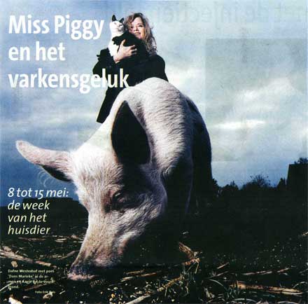 interview Dafne Westerhof - Miss Piggy en het varkensgeluk