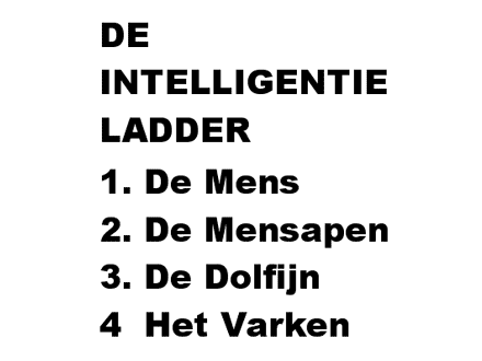 Intelligentieladder: De Mens - De Mensapen - De Dolfijn - Het Varken