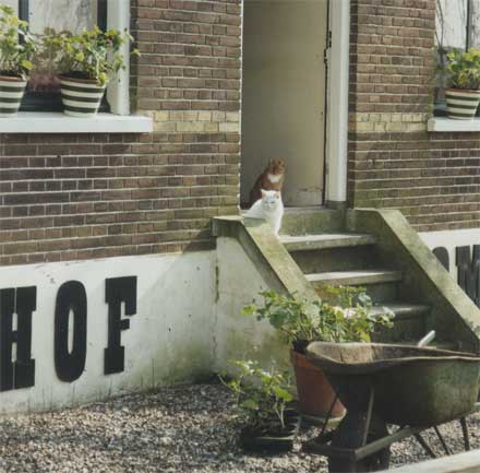 Mollie en Stinkwijfje op het stoepje van het voorhuis